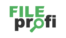 FileProfi - профессиональное восстановление данных в Элисте